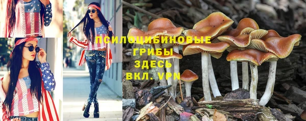 мдма Киреевск
