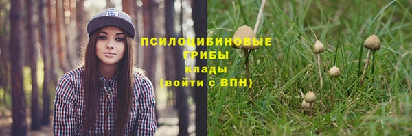 прущая мука Кинешма