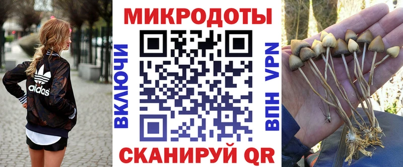 купить  цена  мега как войти  Псилоцибиновые грибы ЛСД  Узловая 