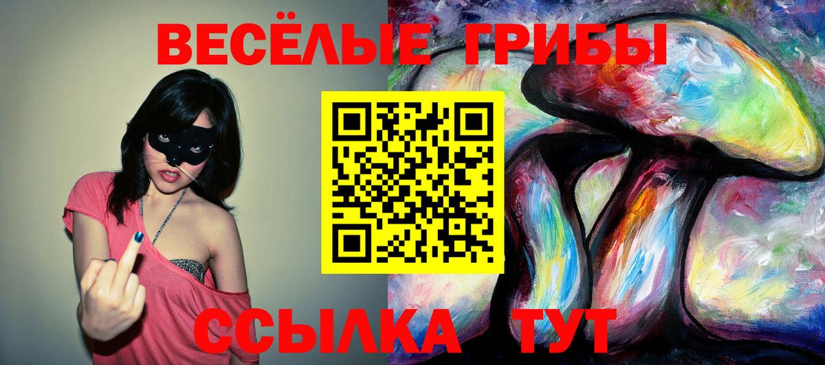 Узловая  Галлюциногенные грибы MAGIC MUSHROOMS  Вход с VPN 